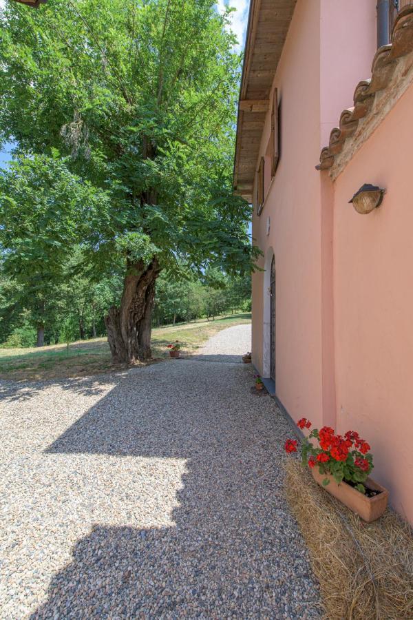 גאבי Tenuta Cascina Marenco מראה חיצוני תמונה